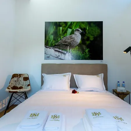 فيلة H. S. Caloura